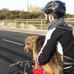 Andrew Bent - @bikedude333 - Instagram