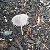 Andrew Bentley - @andrew.bentley4 - TikTok