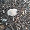 Andrew Bentley - @andrew.bentley4 - TikTok