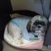 Andrew Berliner - Facebook
