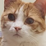 Garrod Andrew Berney - @coolandhonest127856 - Instagram