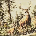 Andrew bernier - @andrew_bernier234 - Instagram
