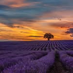 Andrew Bernier - @andrewbernier7 - Instagram