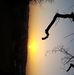 Andrew Berthold - Facebook