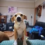 Andrew Bester - @andrewbester_za - Instagram