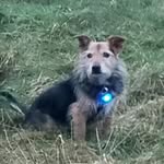 Andrew Beverley - @andrew.beverley.980 - Instagram
