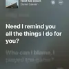 andrew - @andrew_bickerton - TikTok