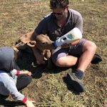 Andrew Bickerton - @bickertonandrew - Instagram