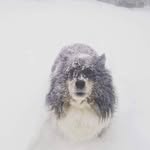 Andrew Bielecki - @aepb1 - Instagram