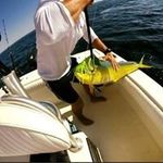 Andrew Bielecki - @bieleckiandrew - Instagram