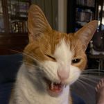 Andrew Bigelow - @andaius_shadowwalker - Instagram