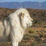 Andrew Bigelow - @andrew.bigelow.568 - Instagram