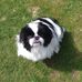 Andrew Billington - Facebook