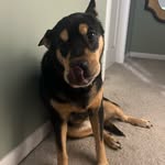 Andrew Binkley - @binkley.22 - Instagram