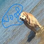 Andrew Binns - @andrew.binns.946 - Instagram