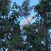 Andrew Birchall - Facebook
