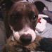 Andrew Blakeman - Facebook