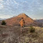 Andrew Blank - Facebook