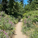 Andrew Bleeker - @kingcountyparkphotos - Instagram