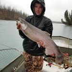Andrew Blomquist - @andrew.blomquist.96 - Instagram