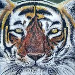 Mark Andrew Bloomer - @marksartstudio2 - Instagram