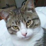 Andrew Blyth - @andrewblyth333 - Instagram