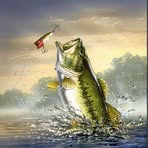 Andrew Bogdan - Facebook