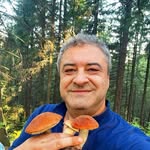 Andrew Bogdanov - @andrewbogdanov8 - Instagram