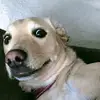 andrewbogle - @andrewb130811 - TikTok