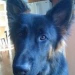 Andrew Bonin - @teddy.bear.316 - Instagram