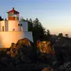 Andrew Bonini - @andrew.bonini - TikTok