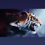 Andrew Boro - @andrew_borovetcky - Instagram