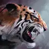 Andrew Boro - @andrew.boro2 - TikTok