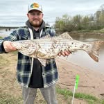 Andrew Boswell - @andrewboswell22_ - Instagram
