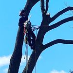 Andrew Boswell - @andrew_bozwell - Instagram