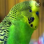 Andrew Boswell - @andrew.boswell.69 - Instagram