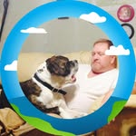 Andrew Boswell - @andrew.boswell.1426 - Instagram