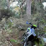 Andrew Bourke - @andrewhasevolved - Instagram