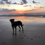 Andrew Bourke - @pjbandrew - Instagram