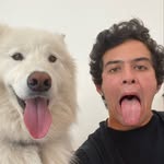 Andrew Bourque - @andrewbourque - Instagram