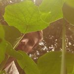 Andrew Boylan - @boylandrew - Instagram