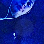 logan andrew boylan - @l_o_g_a_n__2003 - Instagram