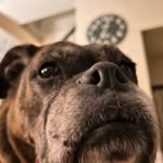 Andrew Brackett - @andrewbrackett33 - Instagram