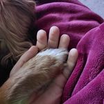 Andrew Braid - @braidandrew - Instagram