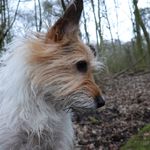 Andrew Branson - @andrewmbranson - Instagram