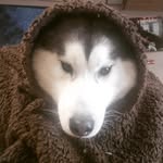 Andrew James Bratton - @andrewjamesbratton - Instagram