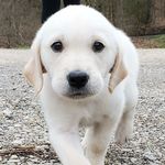 andrewbrecher - @andrewbrecher - Instagram