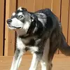 Andrew Bremer - @andrew.bremer2 - TikTok