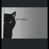 Andrew Bremerston - @andrew.bremerston - TikTok
