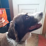 Andrew Bremner - @andrew.bremner.9210 - Instagram